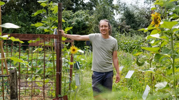 Transfarmers