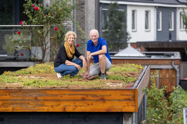 Een snelweg voor bijen en hommels op het dak Een snelweg voor bijen en hommels op het dak